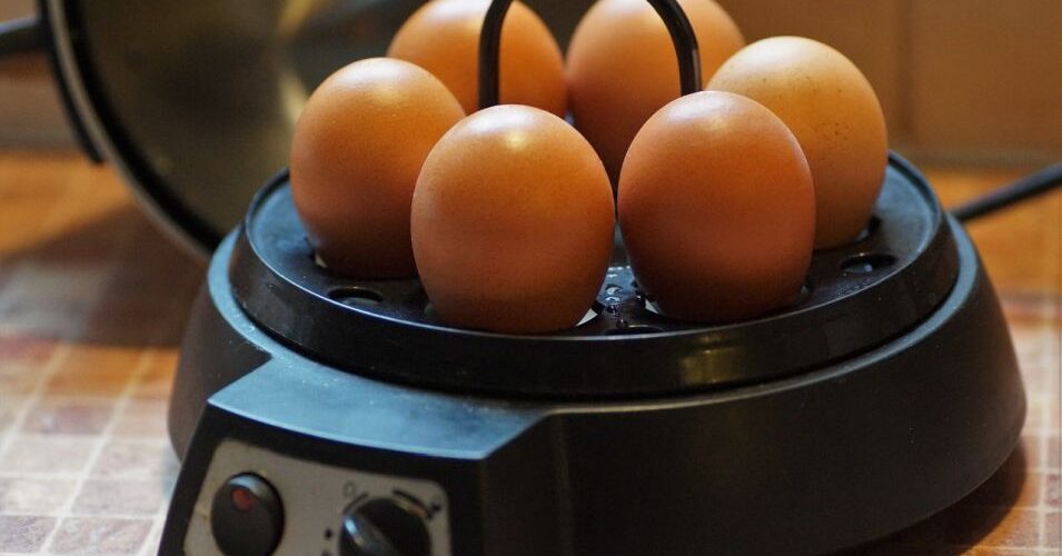 jak gotować jajka w jajowarze