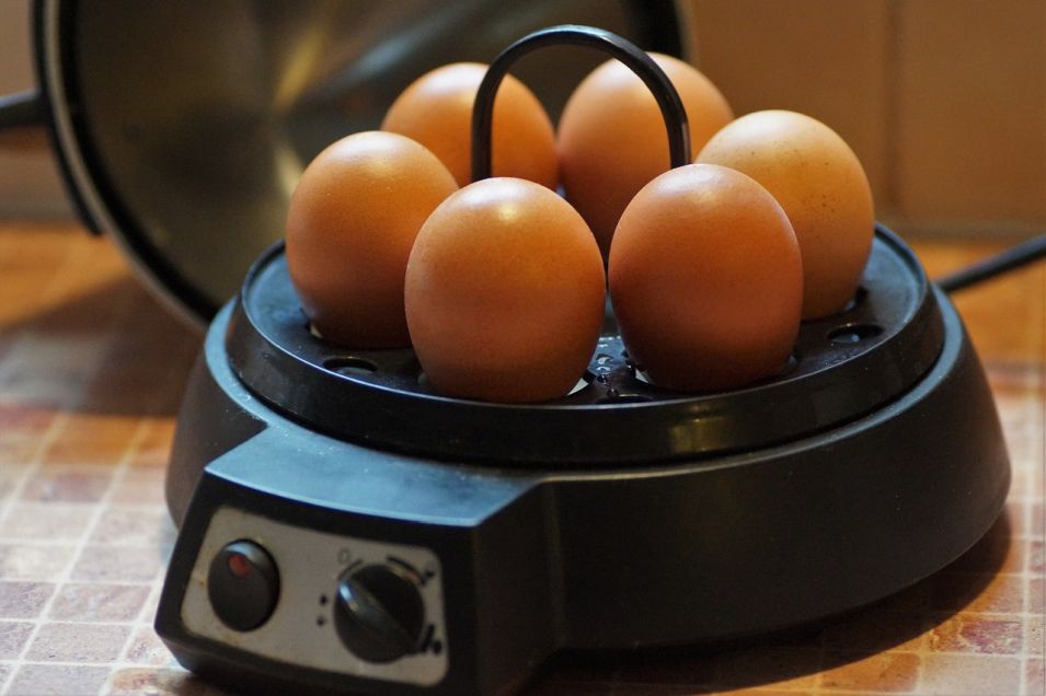 jak gotować jajka w jajowarze
